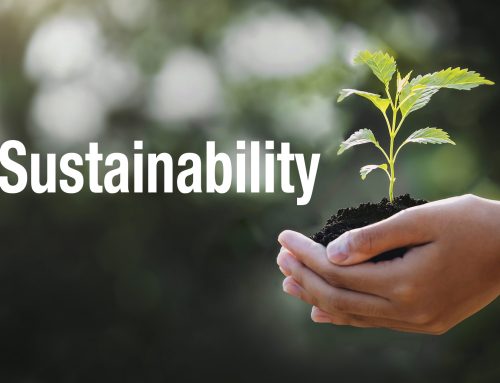 Is Sustainability at Work a Shared Responsibility for a Greener Tomorrow?