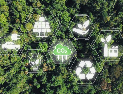 Driving Sustainable Change Across the Supply Chain